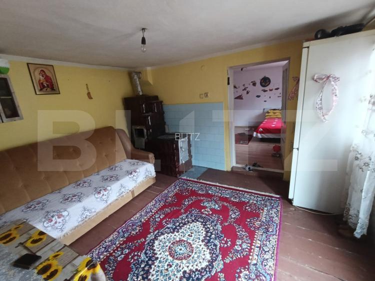 Casa renovabila 5 camere baie si anexe 2800 mp teren in   Pianu de Sus - 3