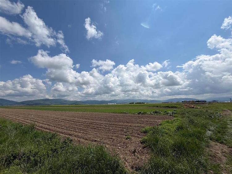 Teren extravilan 10.000 mp - Ieșire Prejmer spre Cărpiniș