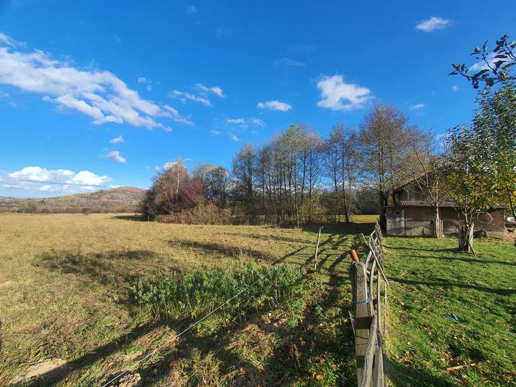 Teren 9.000 mp Bran – Tohănița | Intravilan | Deschidere 60 m Vedere Panoramica