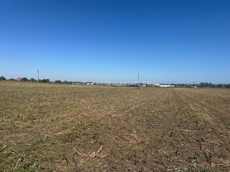 Exclusiv ! TUZLA - teren 10.000 mp cu deschidere 37 mp (Cod E8) - 5