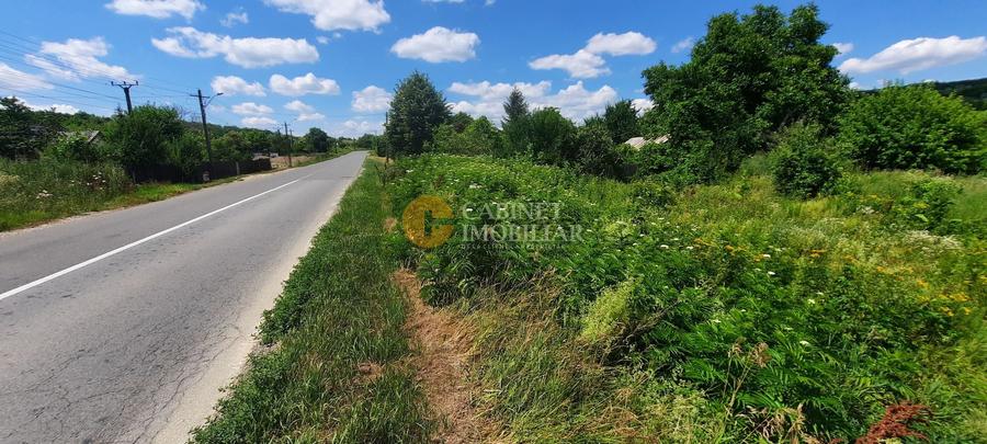 🌳 🌞🌿 TEREN INTRAVILAN 2800 mp - 30 Euro/mp - RATE LA NOTARIAT ! 🌳🌞🌿