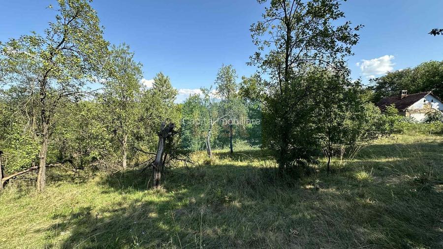 Vânzare teren Reșița: 17260 mp, Calea Caransebeșului - 3