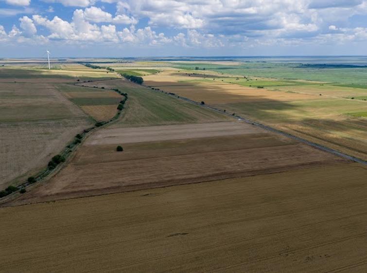Vând teren agricol la șosea de 30.000mp în Iazurile comuna Valea Nucarilor