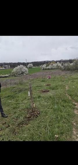 Vanzare teren intravilan Vladiceasca/Snagov langa lac