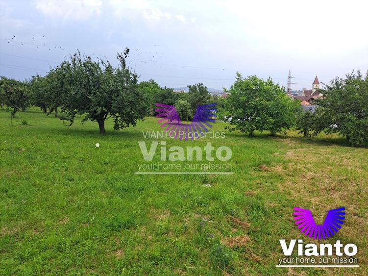 Teren intravilat| Zona rezidentila 1156 mp-TURNISOR - 2