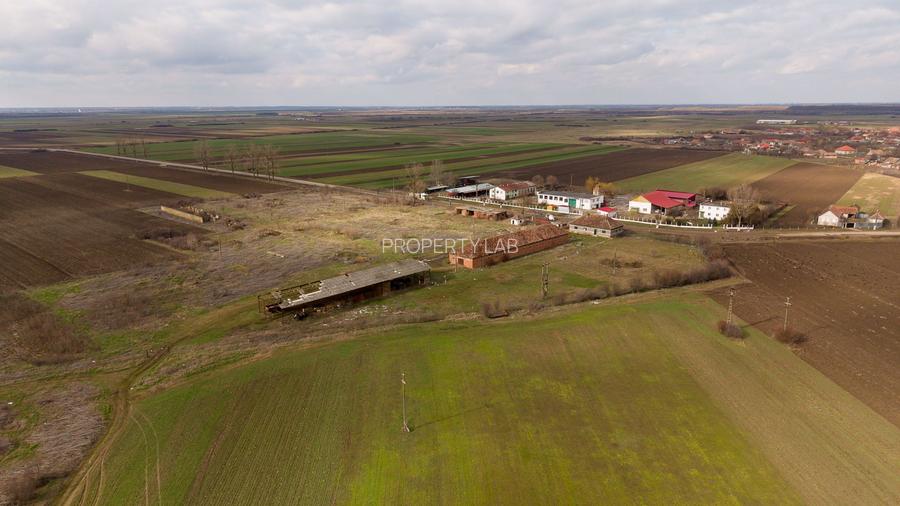 Fermă cu teren intravilan de 35000 mp în Mișca - 11