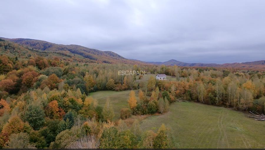 Teren extravilan, zona manastirii Sinca Noua 2652 mp - 4