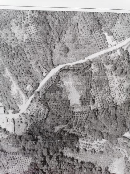 Livada + padure + teren extravilan, 14.400 mp, zona Gemenea-Bratulesti - 2