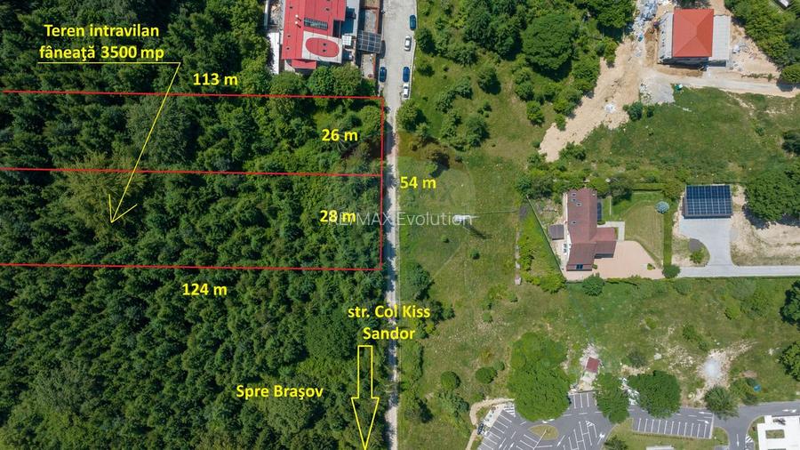 Teren intravilan, 3500 mp, Dâmbu Morii - 5