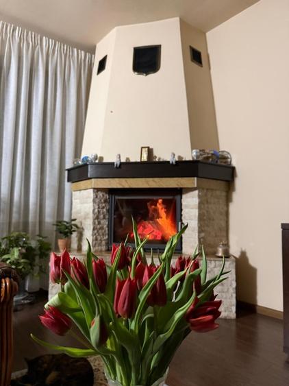 Vila vanzare P+1+demisol Vlaicu