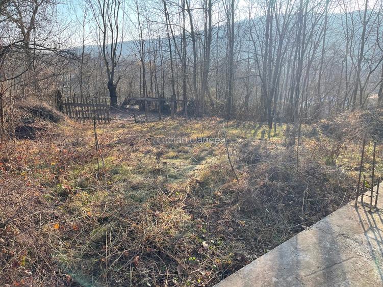 Vând casă Dp+P+M ,construcția C1 și terenul intravilan de 1265 mp - 8