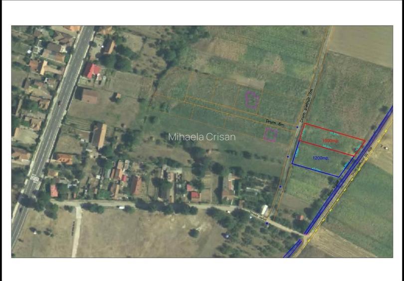 TEREN INTRAVILAN BĂCIA - 2
