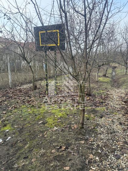 Casa individuala in vatra satului Ghiroda ,teren 1307 mp utili