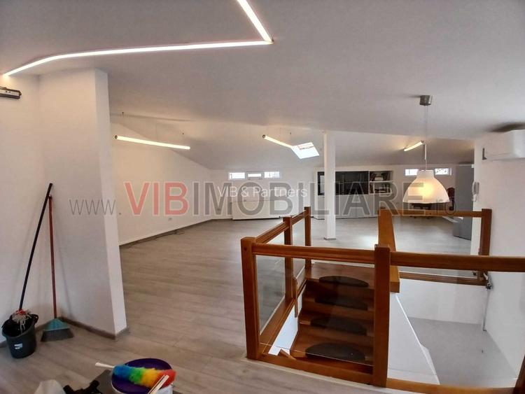 Loft spatios la Cismigiu - 6