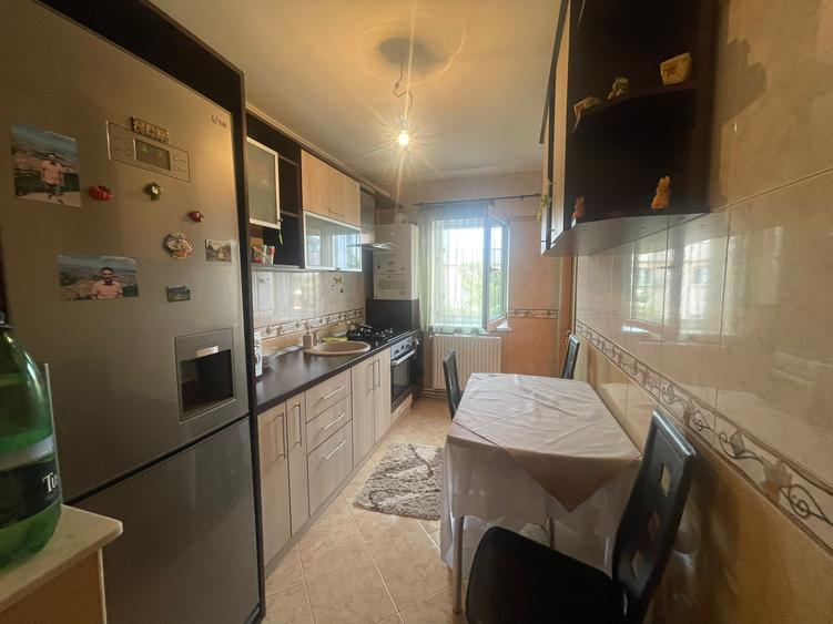Inchiriere apartament 2 camere zona Florilor/Craiter