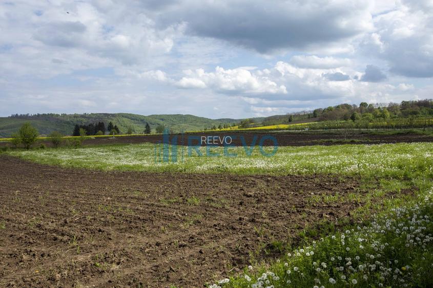 Teren intravilan 4.000 mp Blăgești, Bacău - 12