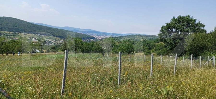 Teren extravilan de 1000 mp, situat pe strada Ghinzii - 8