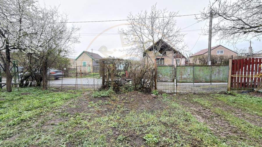De vânzare 2 Case de vinificație cu Teren 4108 mp - Grădina Viilor - Carei