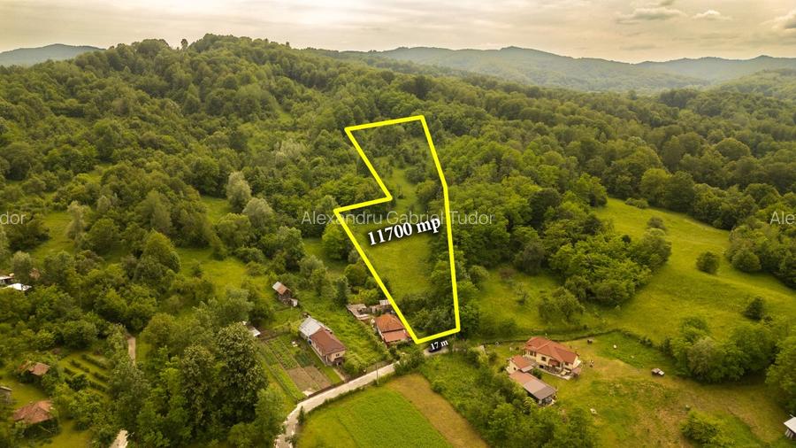 Teren de 11700 mp în mijlocul naturii la 2 ore de București - 3