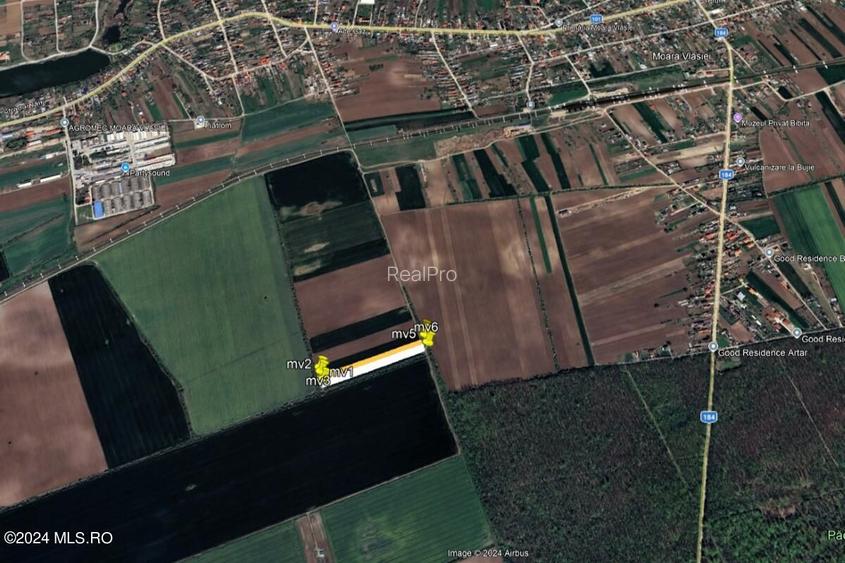 Moara Vlasiei - langa Padurea Biglaru, 11.884 mp, deschidere 40 ml - 13