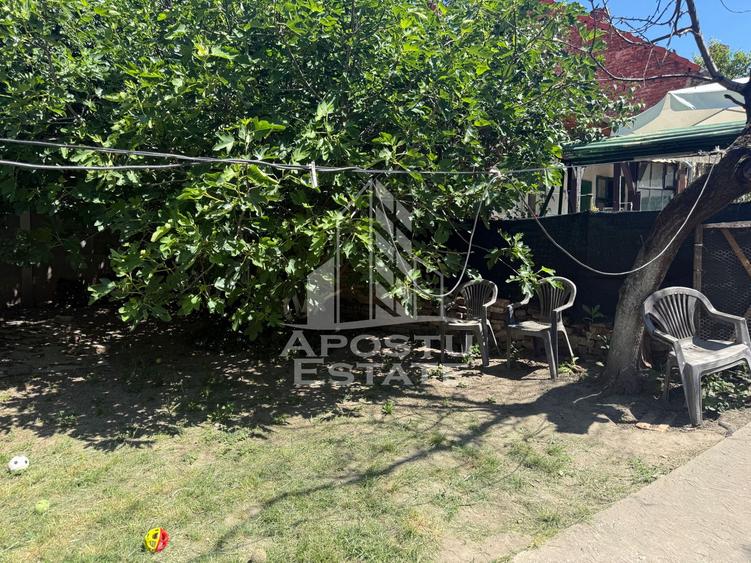 Două case de vânzare în aceeași curte zona Maria