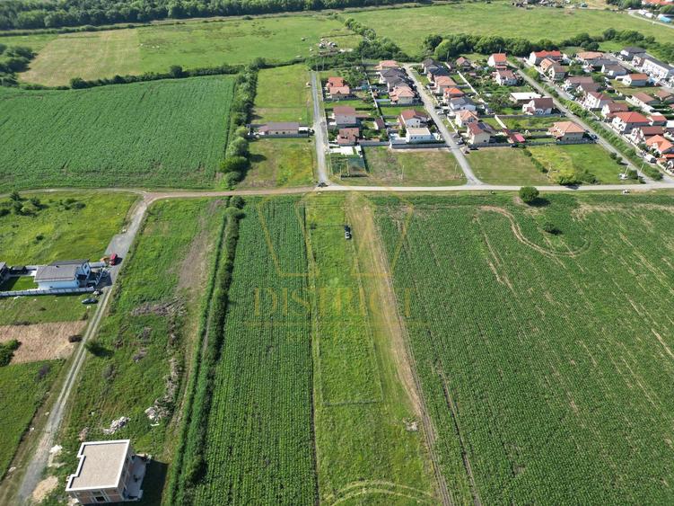 Teren intravilan pretabil pentru constructii individuale sau duplex | Ghiroda