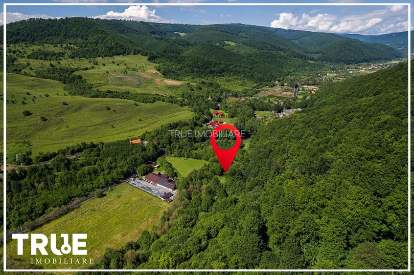Teren intravilan 2.800 m² în Câmpu Cetății – liniște și natură - 18