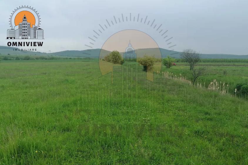 Teren intravilan Dobolii de Jos 47.700 mp | PUZ+autorizație | POT 50%