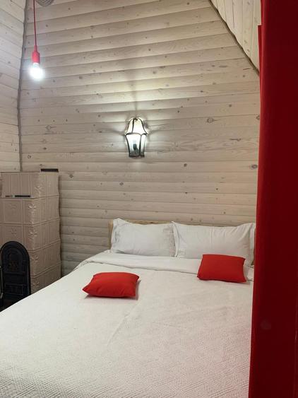 🌲 Cabana de Poveste | Molid – Vama