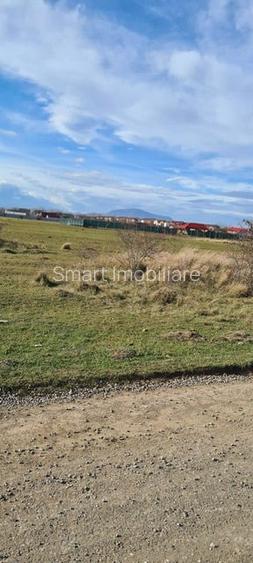 Teren 400 mp Sanpetru Intravilan - 2