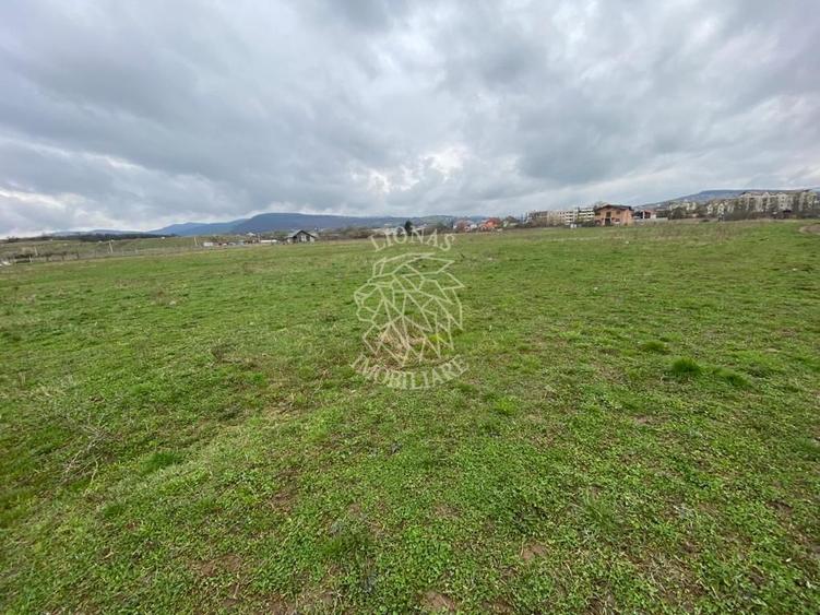 Teren Intravilan 550 mp-ideal casa-Zona Zavoaie