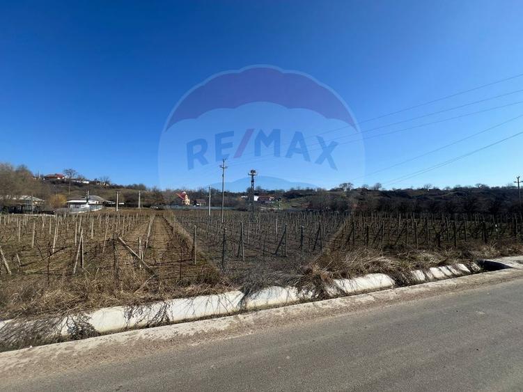 Teren intravilan Movilita, 2700mp