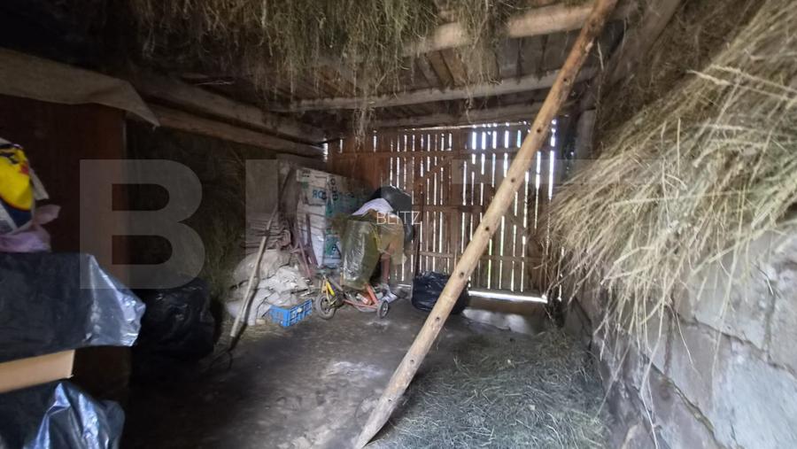 Casa 3 camere, 55 mp, teren 23.000 mp, zona pitoreasca-Poiana Marului - 17
