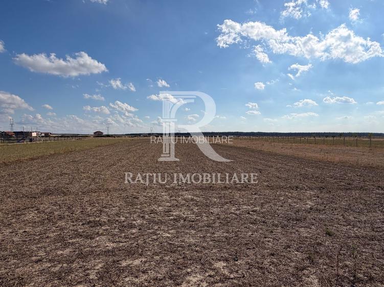 Casă cu livadă, grădină și anexe, | Les | Oradea - 20