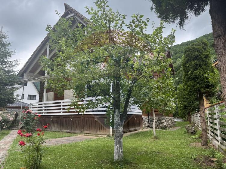 Cabana autentica de munte Frasinet - Baisoara 600 mp teren - 11