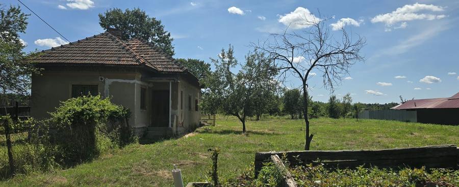 Casa de vanzare