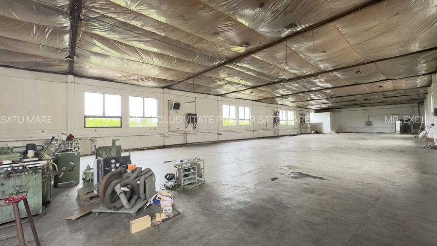 Clădire Industrială Hală Producție, Depozitare, Birouri-Teren 3140 mp - Carei - 25