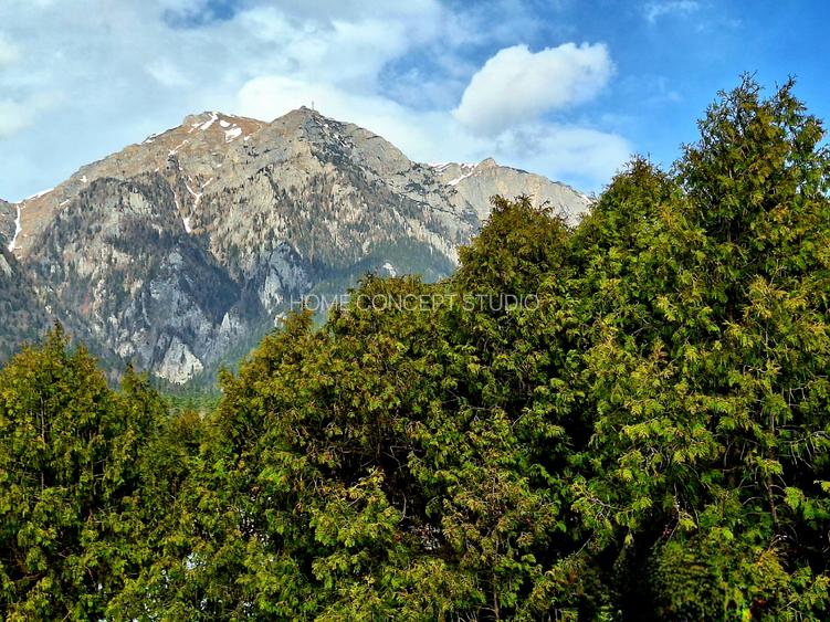 Vila Zamora, Busteni - 7