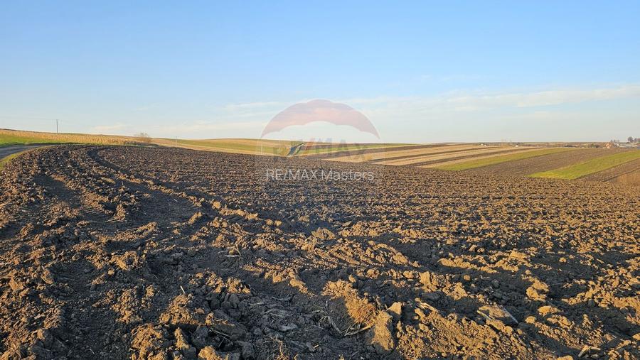 Teren extravilan 30077mp Stroiesti / Soseaua DN17, Suceava - 6