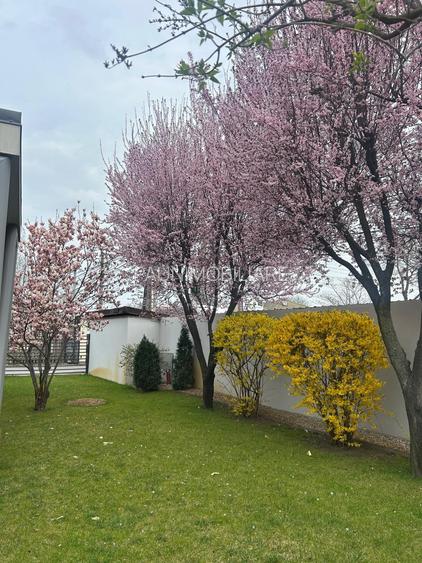 Locuinta P+1+pod mansardat ,merita vazuta de catre cei ce cauta o casa "cu stil" - 20