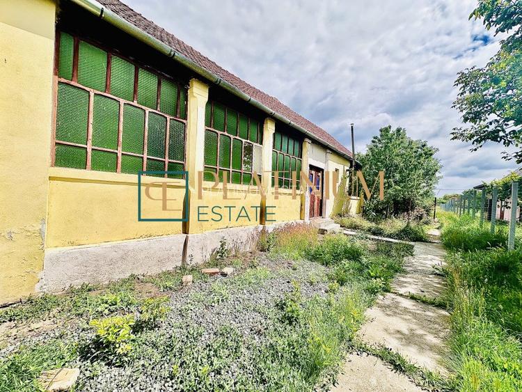 P4504 Casa cu 5 camere in Becicherecu Mic teren 961 mp ASFALT - 17