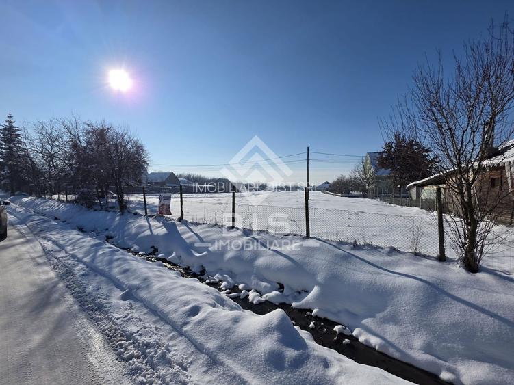 Teren cu suprafata 5300 mp intravilan - 6