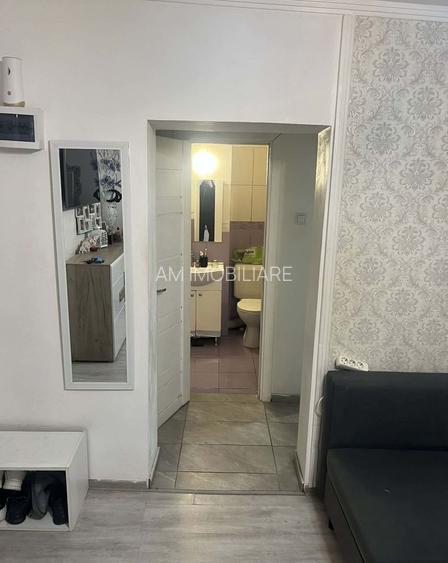 GARSONIERA DOAMNA GHICA, STUDIO, PET-FRIENDLY, MOBILAT MODERN,CURAT - 8