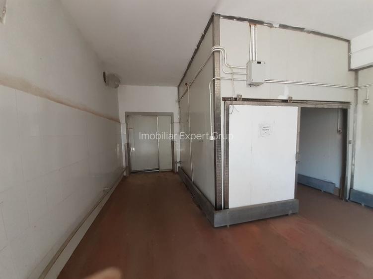 Hala 343 mp ideala industria alimentara, depozitare - 4