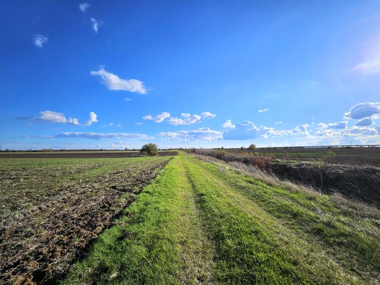 Teren Caciulati / 30.200 mp / D: 70 m / comision 0% - 5