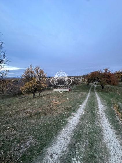 Teren 7199mp Intravilan cu Vedere Panoramica Superbă, Ideal Investitie - 21