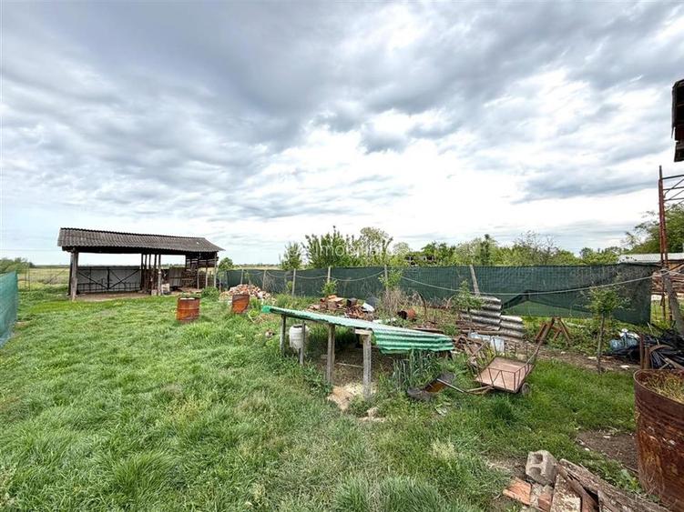 CASA CU TEREN 1081 MP | ACCES AUTO | ZONA SACUIENI | LOCALITATEA CADEA | BIHOR - 25