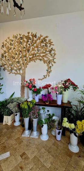 Birouri Victoriei 500 mp - 5