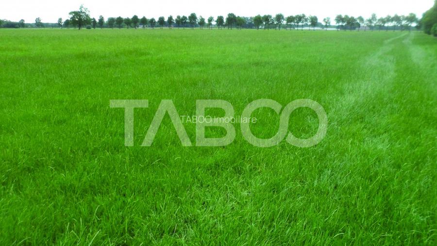 Teren intravilan deschidere 35 ml 7000mp in zona Industrial Vest Sibiu - 2