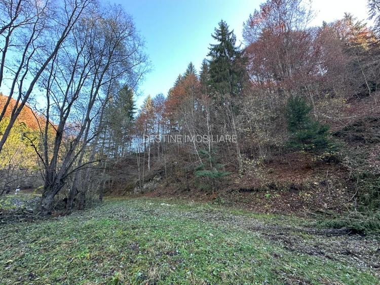 Teren 2.882 mp – oportunitate investitie - Cheile Dambovicioarei - 5